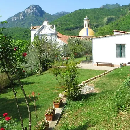 Ancient Estate 